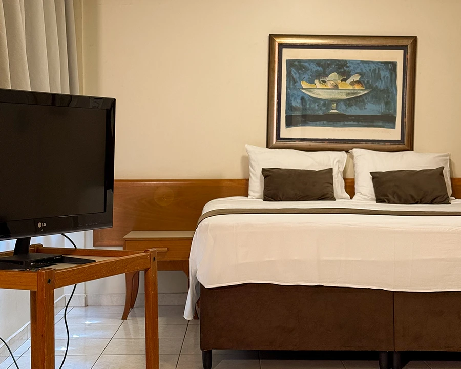 Uberaba-Hotel-Suites_Quartos_Loft (5)