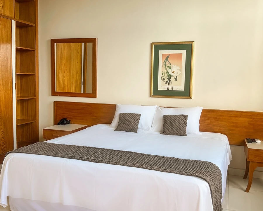 Uberaba-Hotel-Suites_Quartos_Suite PNE(1)
